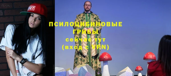 мяу мяу мука Костерёво
